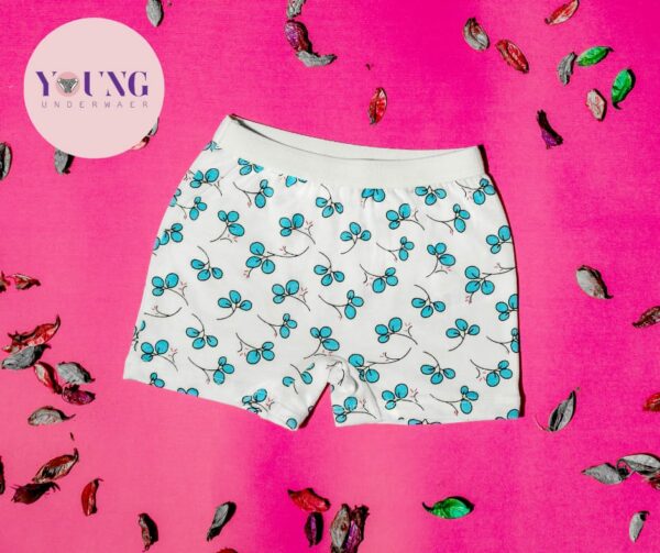 Girls Panty Underwear pack of 5 - Image 4