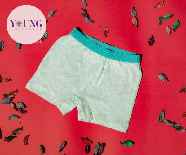 Girls Panty Underwear pack of 5 - Image 3