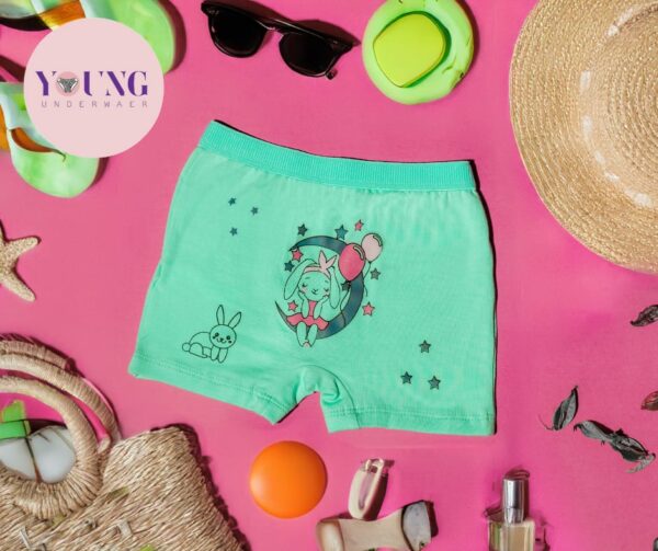 Girls Panty Underwear pack of 5 - Image 2