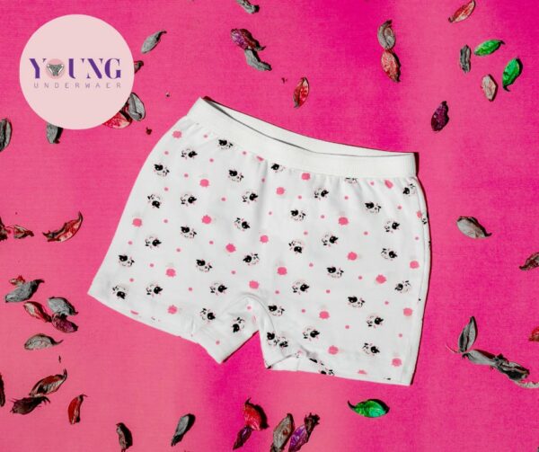 Girls Panty Underwear pack of 5 - Image 6