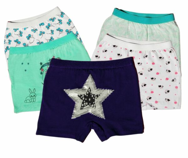 Girls Panty Underwear pack of 5