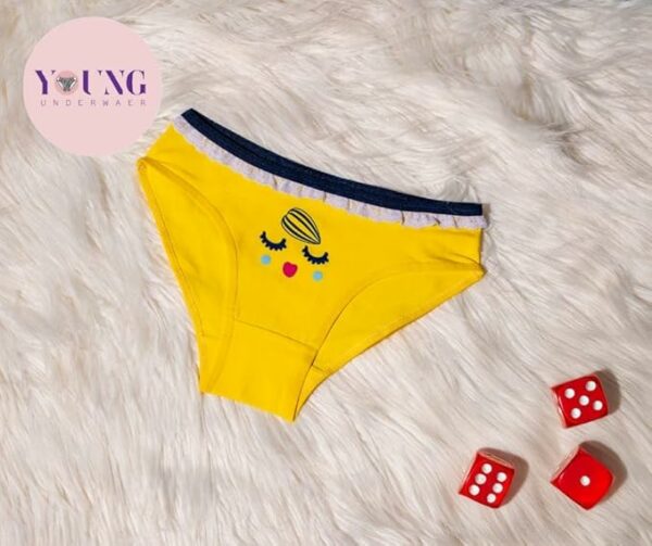 Bikini Pantie For Women - 1021 - Image 13