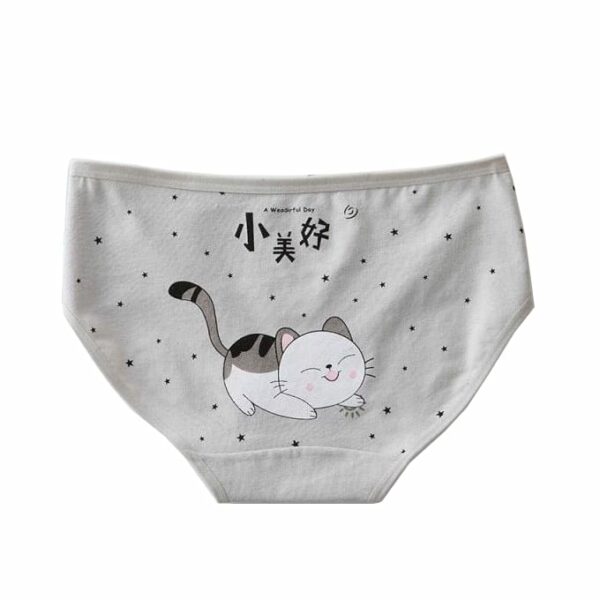 Panty Women's 100% Cotton - 1001 - Image 2