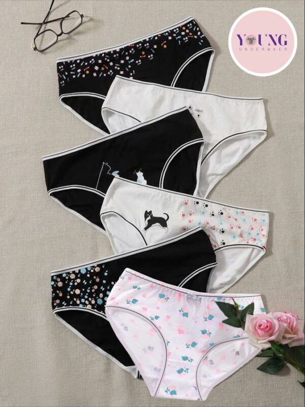 Bikini Brief Underwear | Multipack | Set of 6 | Available in Plus Size | Solid Cotton Underwear | Colorful Illustrations - 1008
