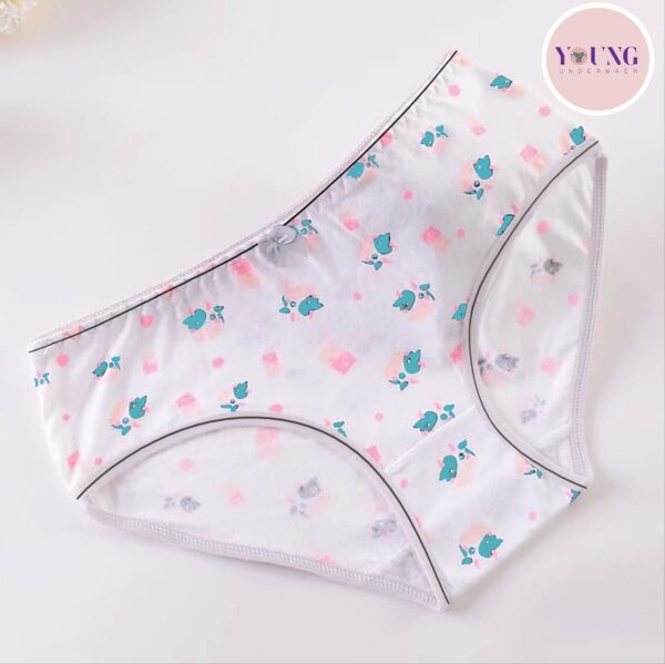 Bikini Brief Underwear | Multipack | Set of 6 | Available in Plus Size | Solid Cotton Underwear | Colorful Illustrations - 1008 - Image 6