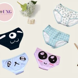 Women Brief panty underwear -1010