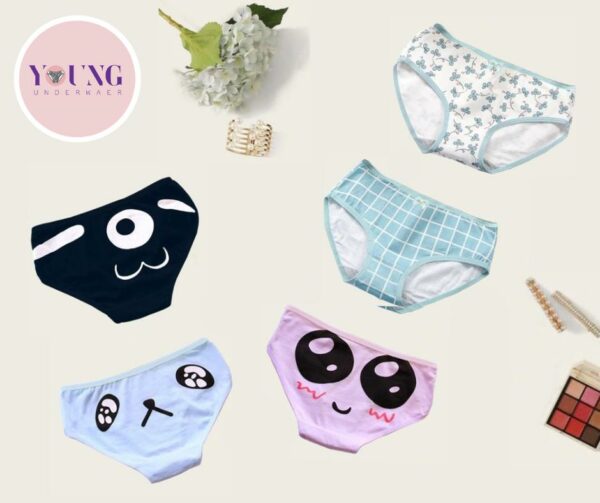 Women Brief panty underwear -1010