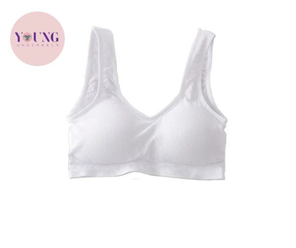 Women's 100% Cotton Bra | 4002 سوفت برا حمالة عريضة - باكيت 3 قطع - Image 9
